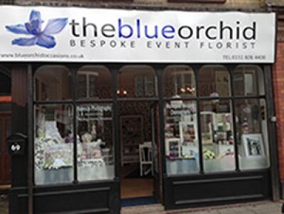 The Blue Orchid